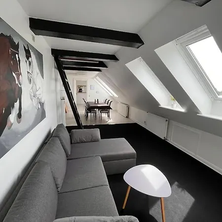 Stor Rummelig Med Egen P-plads Apartmán *